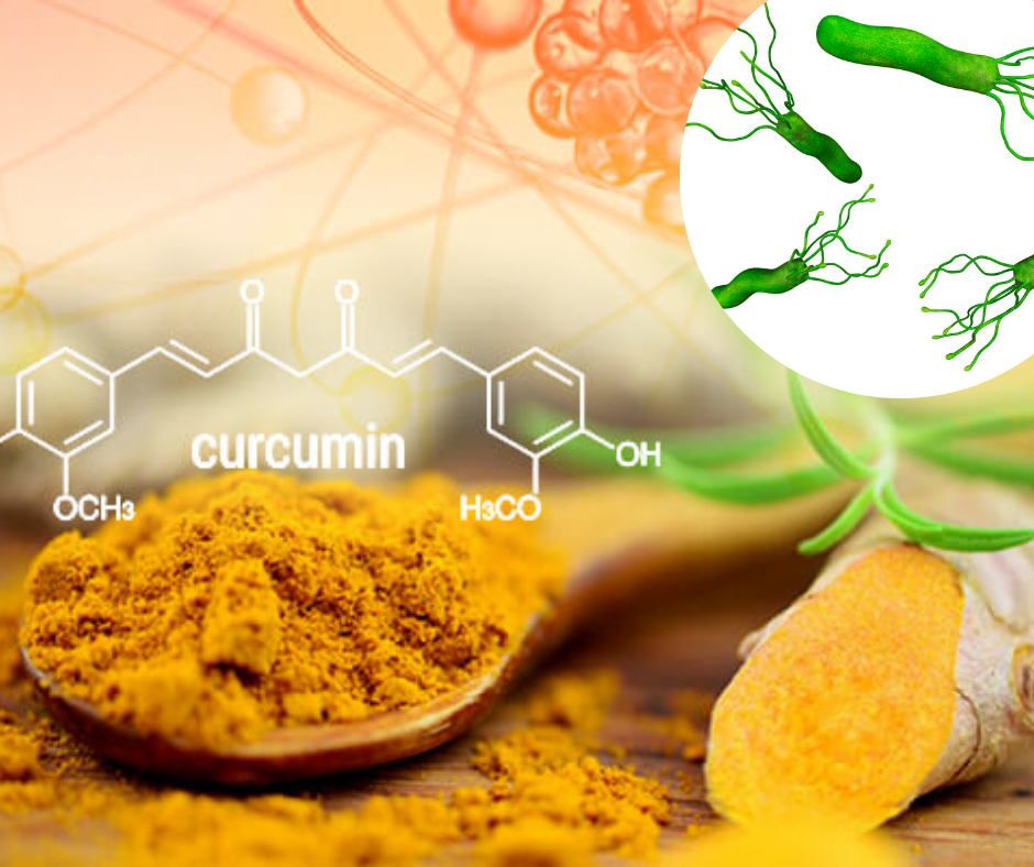 Tác dụng của nano curcumin tới việc hỗ trợ điều trị vi khuẩn HP-1