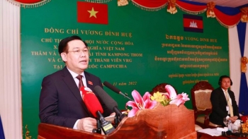 Mối quan hệ hữu nghị giữa UAE và Việt Nam ngày càng đơm hoa kết trái-4
