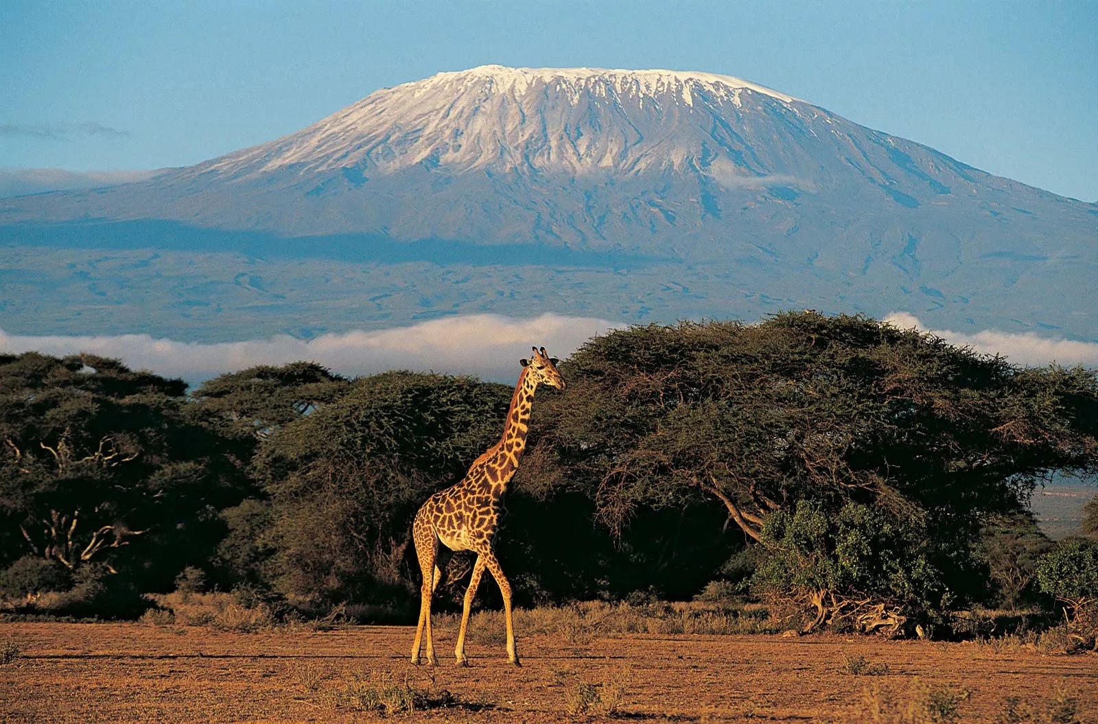 Ngọn núi cao nhất châu Phi đã có Wi-Fi-1