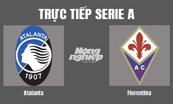 Trực tiếp Atalanta vs Fiorentina trên On Sports hôm nay 2/10-cover-img