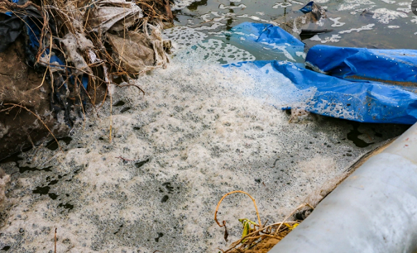 Khánh Hòa: Ảnh kinh hãi trại nuôi tôm xả nước thải ra biển đen ngòm-4