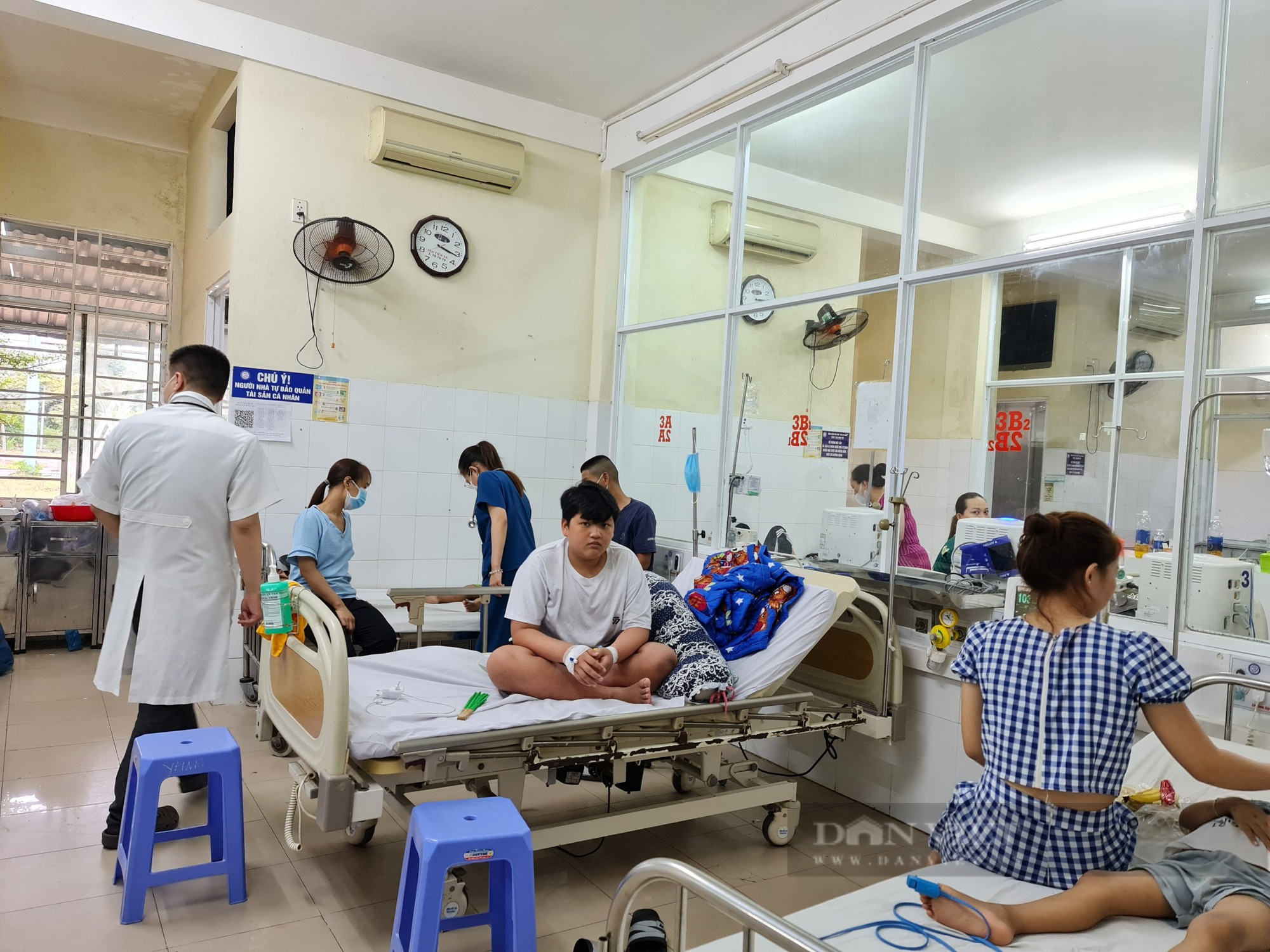 Đà Nẵng: Số ca mắc sốt xuất huyết tăng gần 23 lần-1