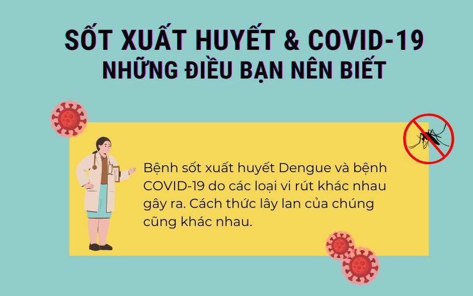 Số ca mắc sốt xuất huyết tăng 8 lần, tỉnh Nghệ An ra công văn hỏa tốc-4