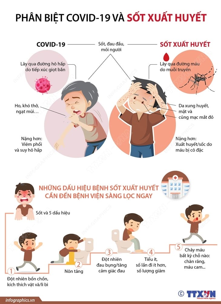 Phân biệt bệnh sốt xuất huyết và Covid-19-1