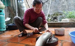 Tục làm nem cá cúng tổ tiên ngày Tết của người Thái ở miền tây xứ Thanh-cover-img