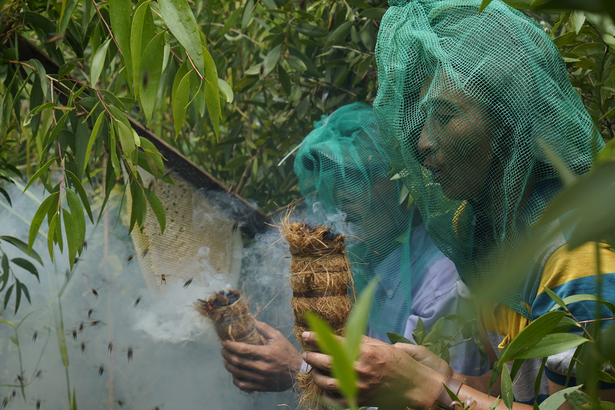 Trải nghiệm, khám phá nghề khai thác ong mật ở vùng rừng U Minh Hạ-4
