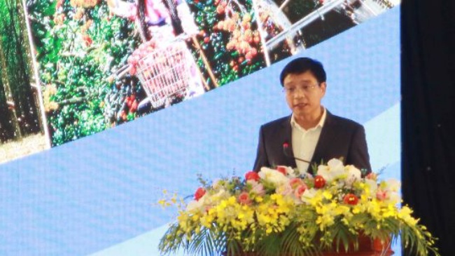 Bộ trưởng GTVT: Cần hơn 400.000 tỷ đồng phát triển cao tốc kết nối Đông Nam bộ-2