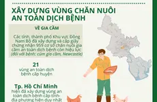 Phát triển sản phẩm chăn nuôi vùng Đông Nam Bộ vươn tầm thế giới-cover-img