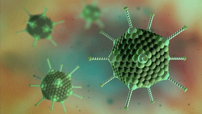 Người lớn nhiễm Adenovirus có nguy hiểm?-1