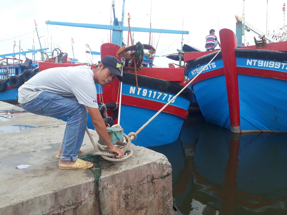Ninh Thuận: Tránh bão số 4, xem xét ban lệnh cấm biển vào chiều nay 26.9-cover-img