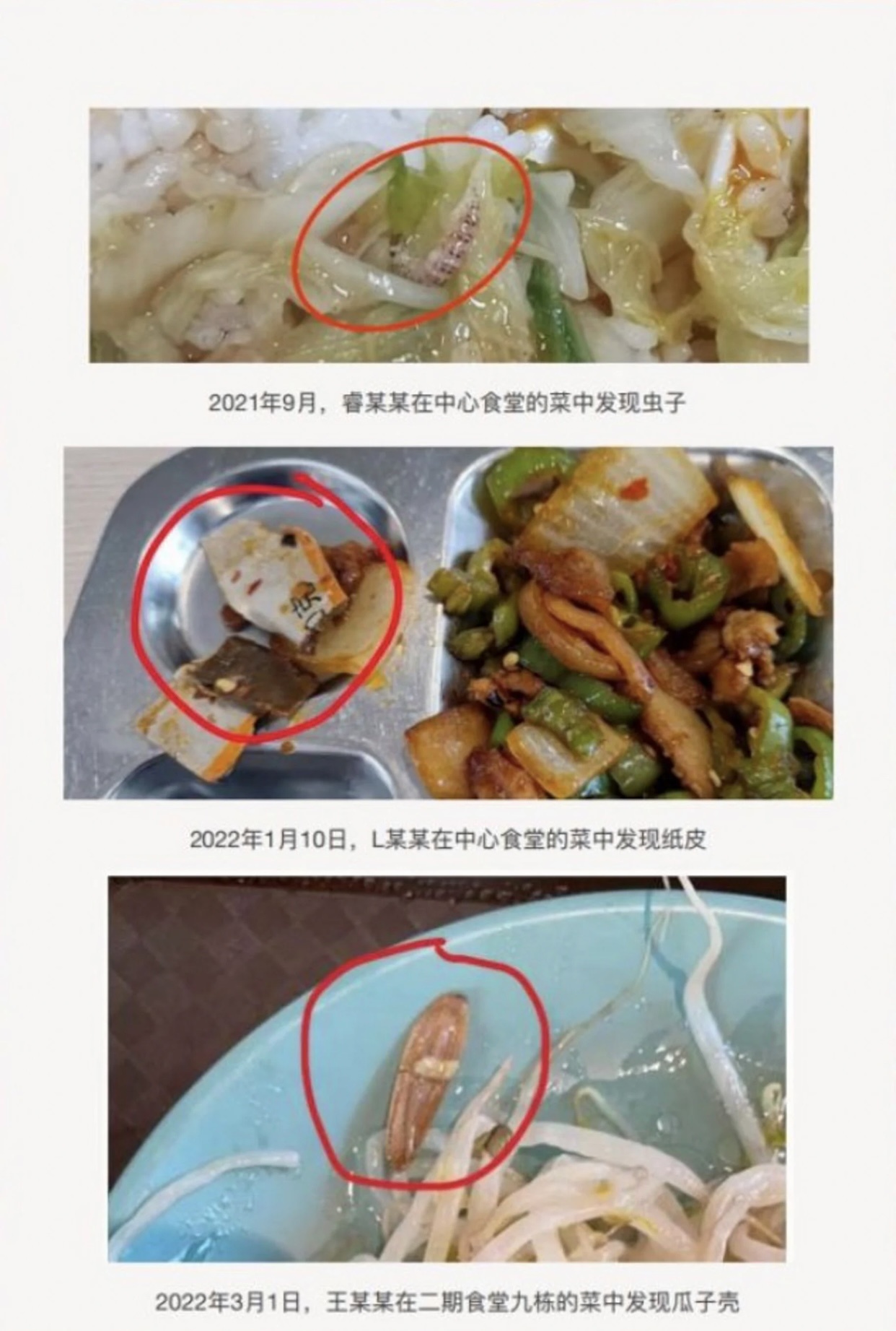 Thức ăn của canteen trường ở Trung Quốc có gián chết và pin cũ-3