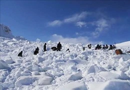 Lở tuyết trên dãy Himalaya khiến hàng chục người leo núi thiệt mạng và mất tích-img