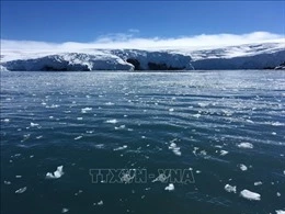 Thêm dấu hiệu cho thấy băng ở Nam Cực đang giảm dần-cover-img