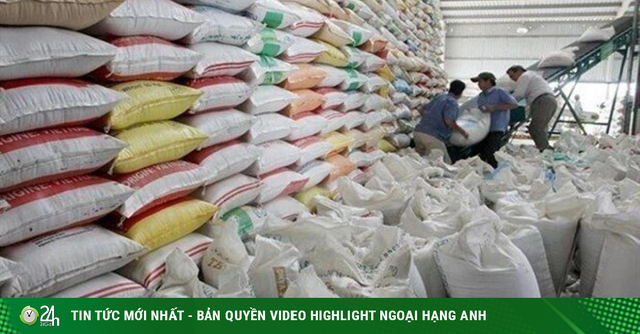 Ấn Độ cấm xuất khẩu gạo: Việt Nam bị tác động ra sao?-cover-img