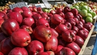 Hy Lạp đưa táo và kiwi chinh phục người tiêu dùng Việt Nam-img