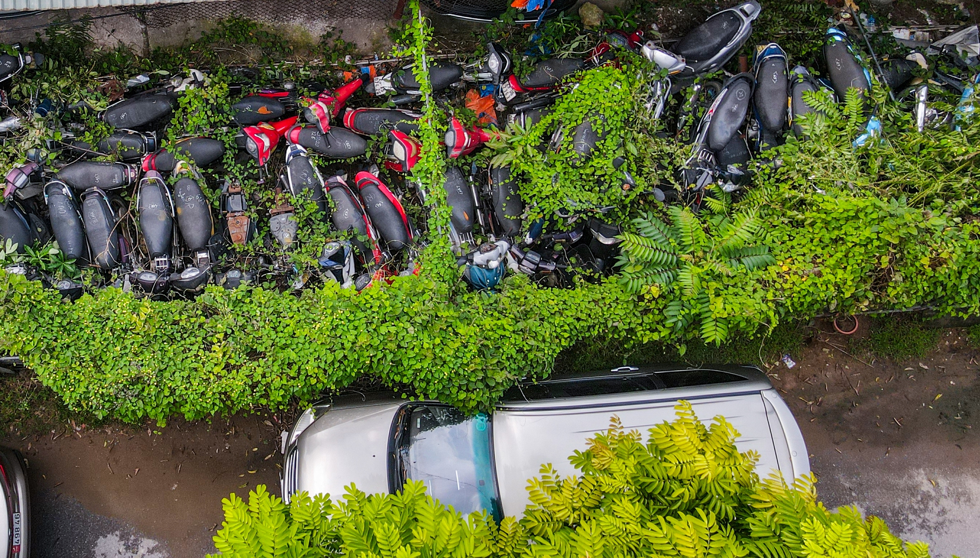 Hà Nội: Hàng nghìn chiếc xe máy vi phạm giao thông chồng chất lên nhau, cỏ mọc um tùm-13