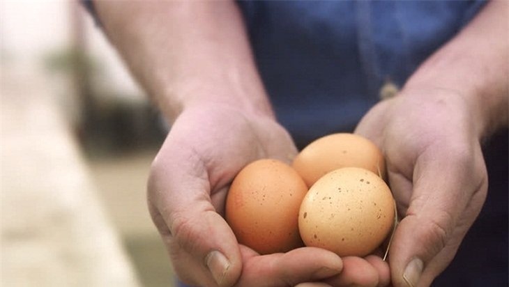 Mua trứng gà đừng chỉ nhìn vào vỏ, thêm 3 mẹo này chọn 10 quả tươi ngon như 1-1