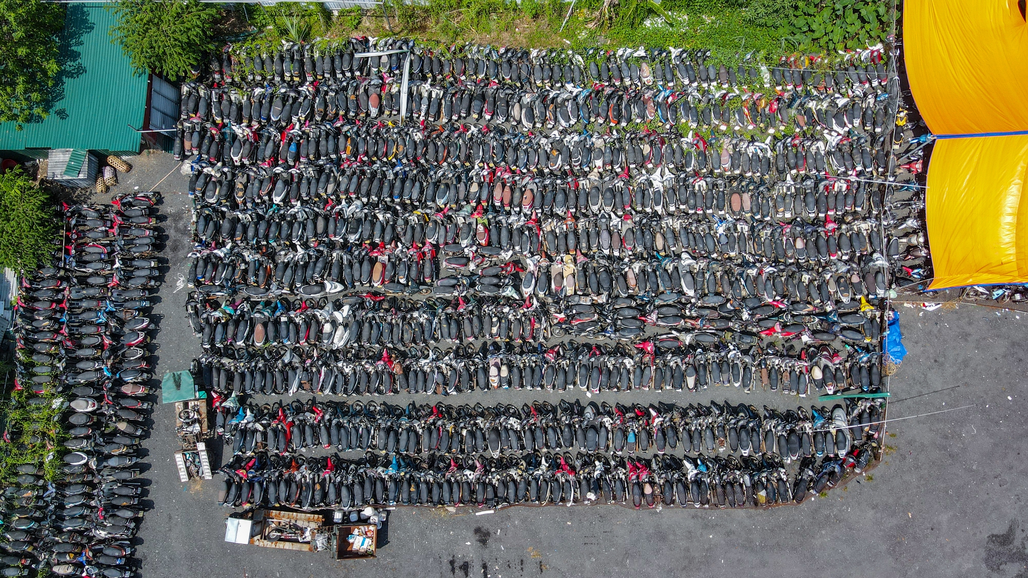 Hà Nội: Hàng nghìn chiếc xe máy vi phạm giao thông chồng chất lên nhau, cỏ mọc um tùm-1