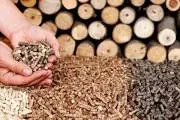 Viên nén gỗ được dự báo trở thành ngành hàng tỷ USD, có nên áp thuế xuất khẩu?-cover-img
