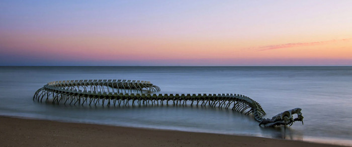 Bộ xương rắn khổng lồ nổi bật giữa bãi biển hút khách du lịch-1