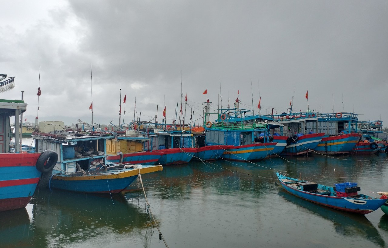 Quảng Nam: Từ 0h ngày 26/9 cấm tàu thuyền ra khơi-5