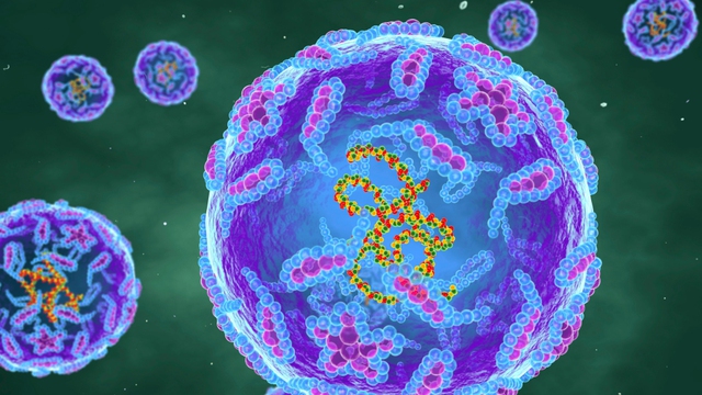 Loại virus bị xoá sổ gần 40 năm trước tại Anh bất ngờ 