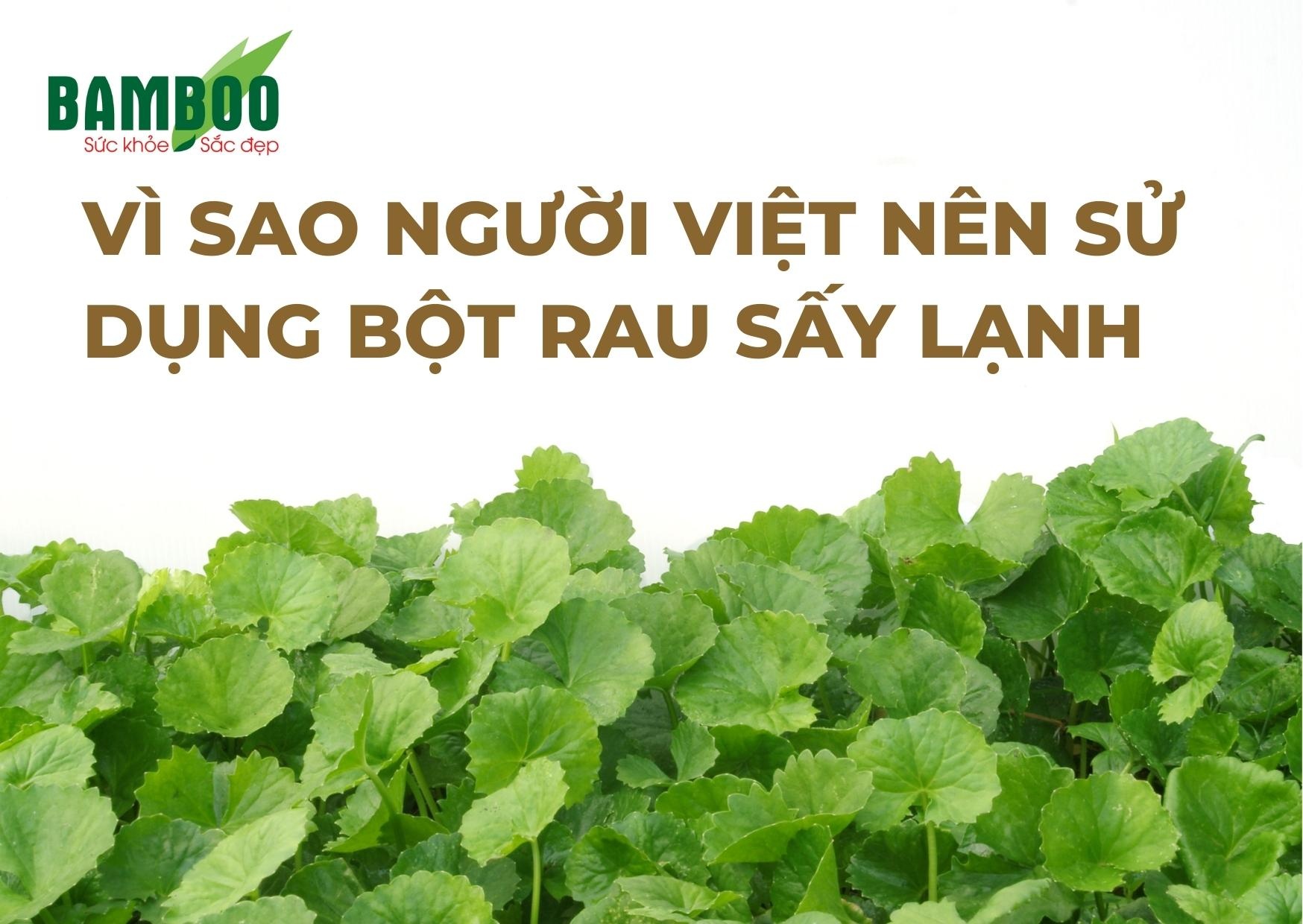 Vì sao người Việt nên sử dụng bột rau sấy lạnh-1