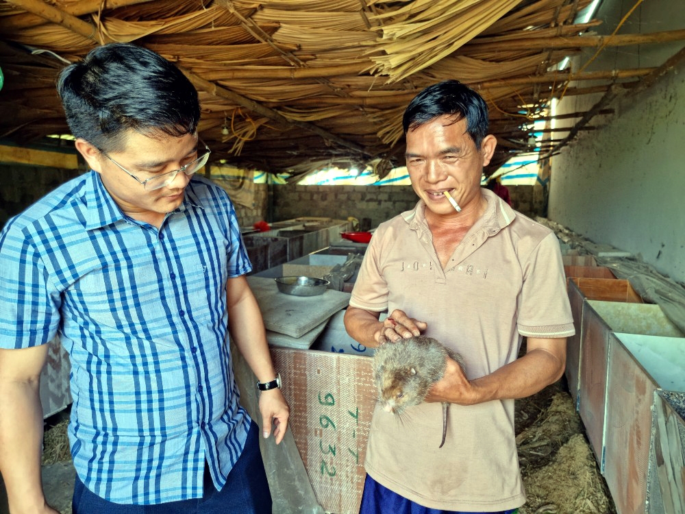 Hạ Long (Quảng Ninh): Vượt tiêu chí khó xây dựng nông thôn mới-3