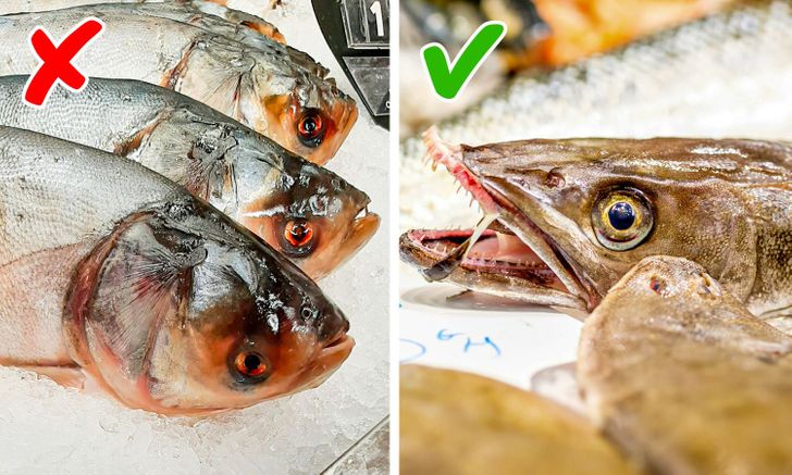Lưu ý này giúp người nội trợ lựa chọn được cá tươi ngon mà không sợ nhiễm chất gây ngộ độc-7