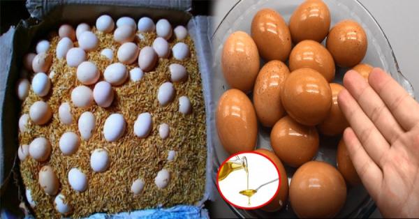 Đừng cho trứng vào tủ lạnh: Đây là cách bảo quản trứng cả nửa năm vẫn giữ nguyên chất bổ-1