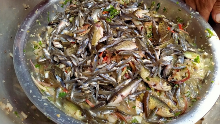Những món ăn ở Việt Nam thách thức lòng can đảm của người thưởng thức: Có món là đặc sản được săn lùng với giá cao-5