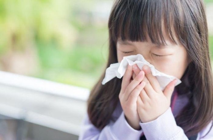 6 bài thuốc giúp phòng ngừa và trị cảm cúm-1