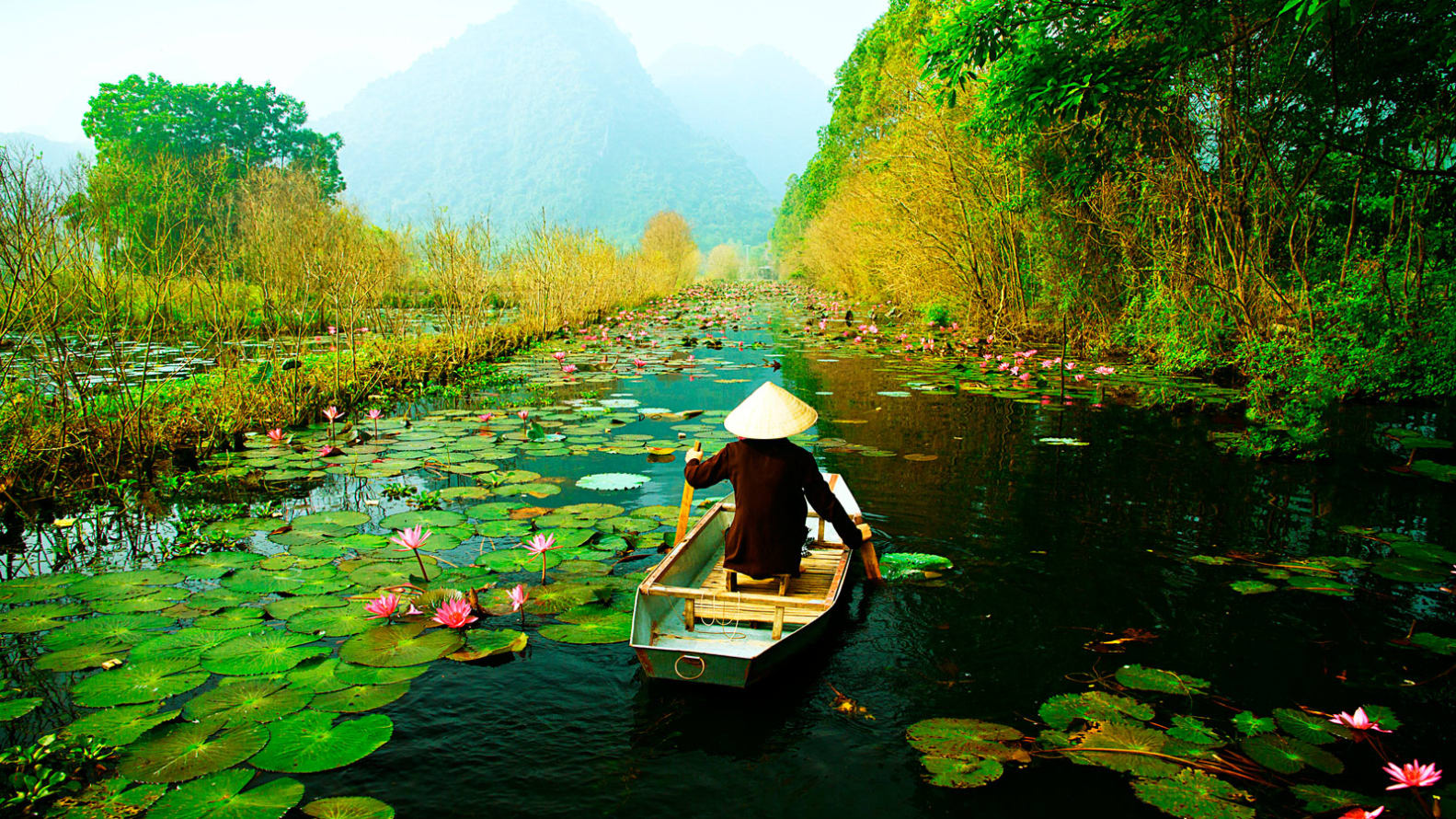 Du lịch Việt Nam trở thành xu hướng với khách Ấn Độ hậu đại dịch-1