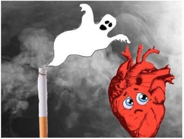 Hút thu‌ốc l‌á khiến cho tim to ra và yếu hơn-1