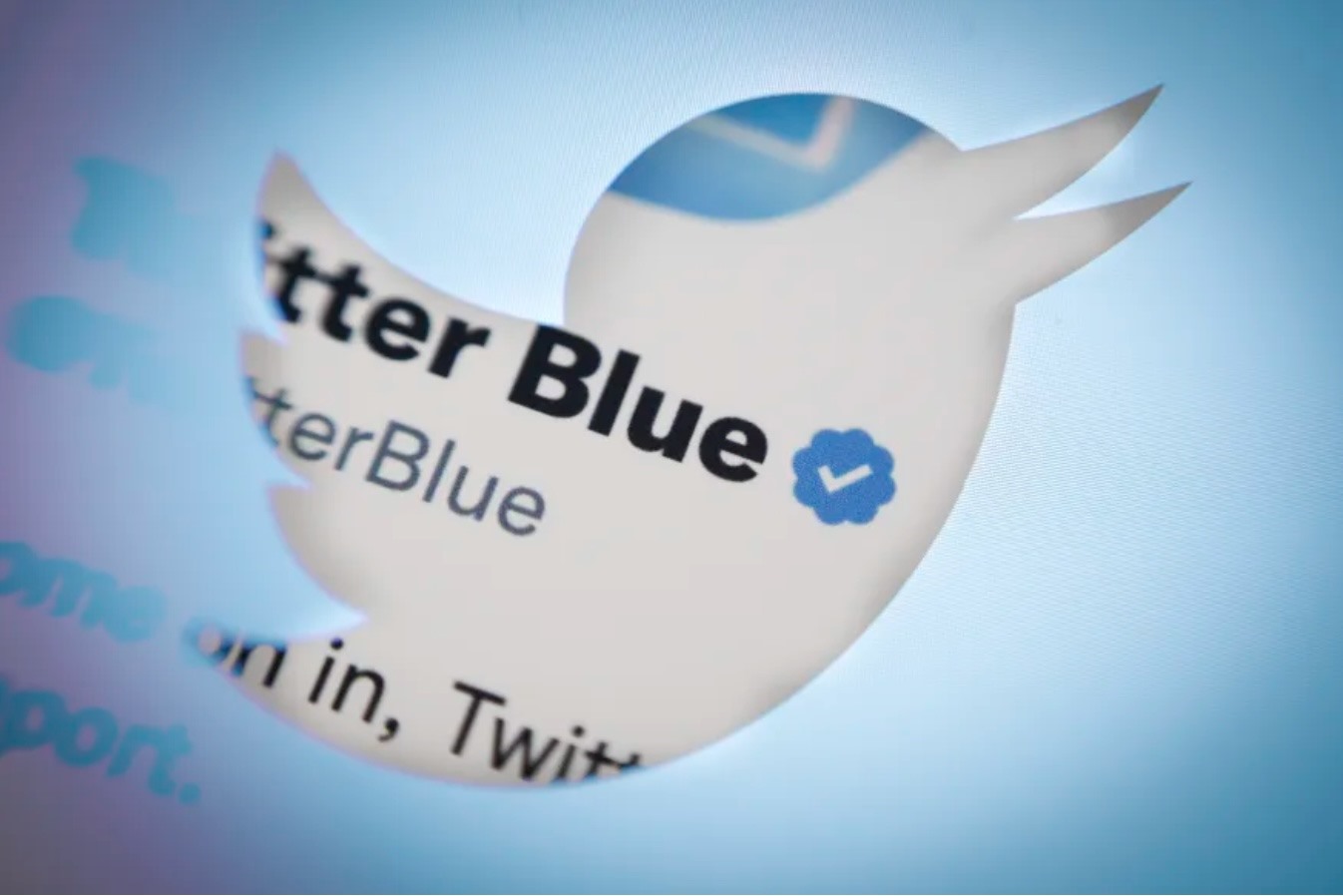 Twitter Blue sẽ bị siết chặt khi nó hoạt động trở lại-1