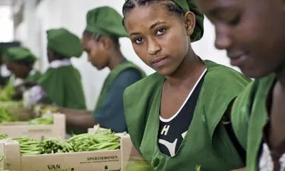 ILO: Tiền lương thực tế toàn cầu giảm lần đầu sau 15 năm-cover-img