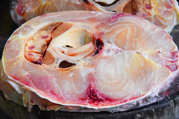 Cá sọc dưa - Loài cá sống tới 50 năm mang theo hương vị của Tây Nguyên-8