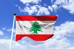 Điện mừng Quốc khánh nước Cộng hòa Lebanon-cover-img