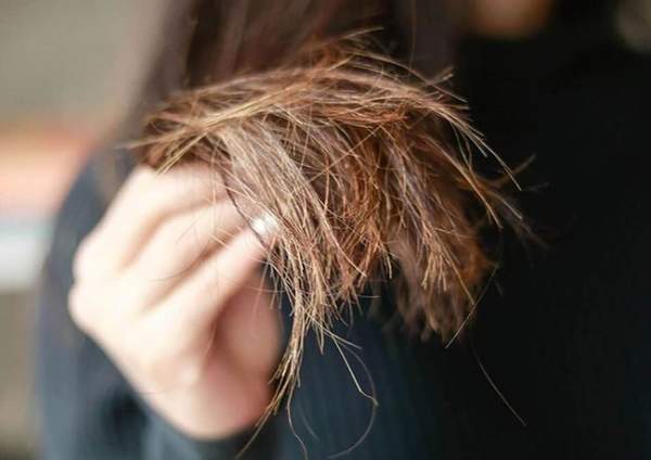 Những điều cần chú ý để có được mái tóc đẹp mà không bị chẻ ngọn-3