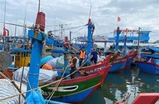 Ngư dân tỉnh Quảng Ngãi hối hả đưa tàu vươn khơi sau bão-cover-img
