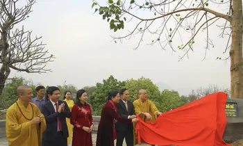 Phó Thủ tướng Trần Lưu Quang dâng hương tại chùa Tam Chúc-cover-img