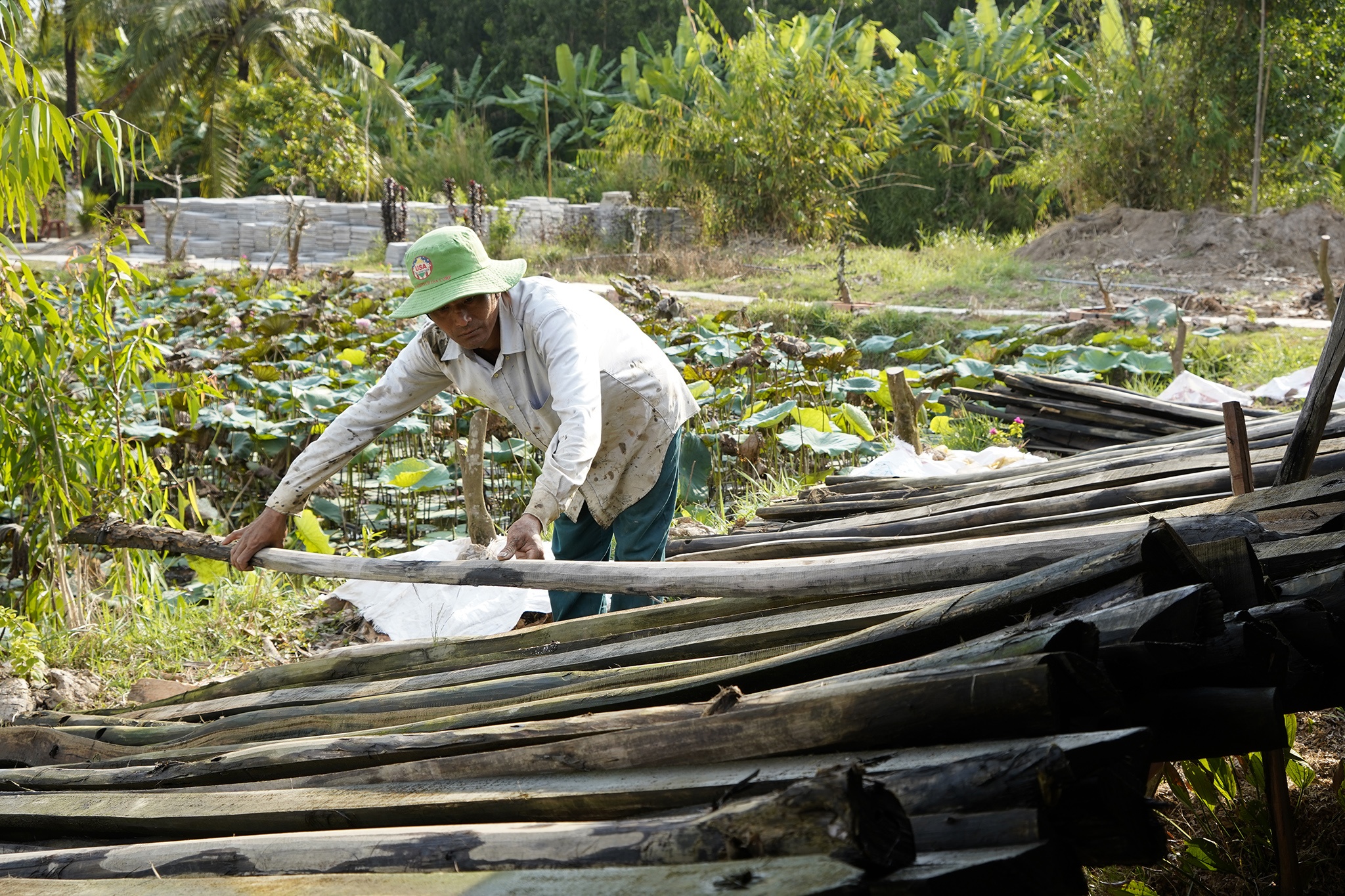 Trải nghiệm, khám phá nghề khai thác ong mật ở vùng rừng U Minh Hạ-5