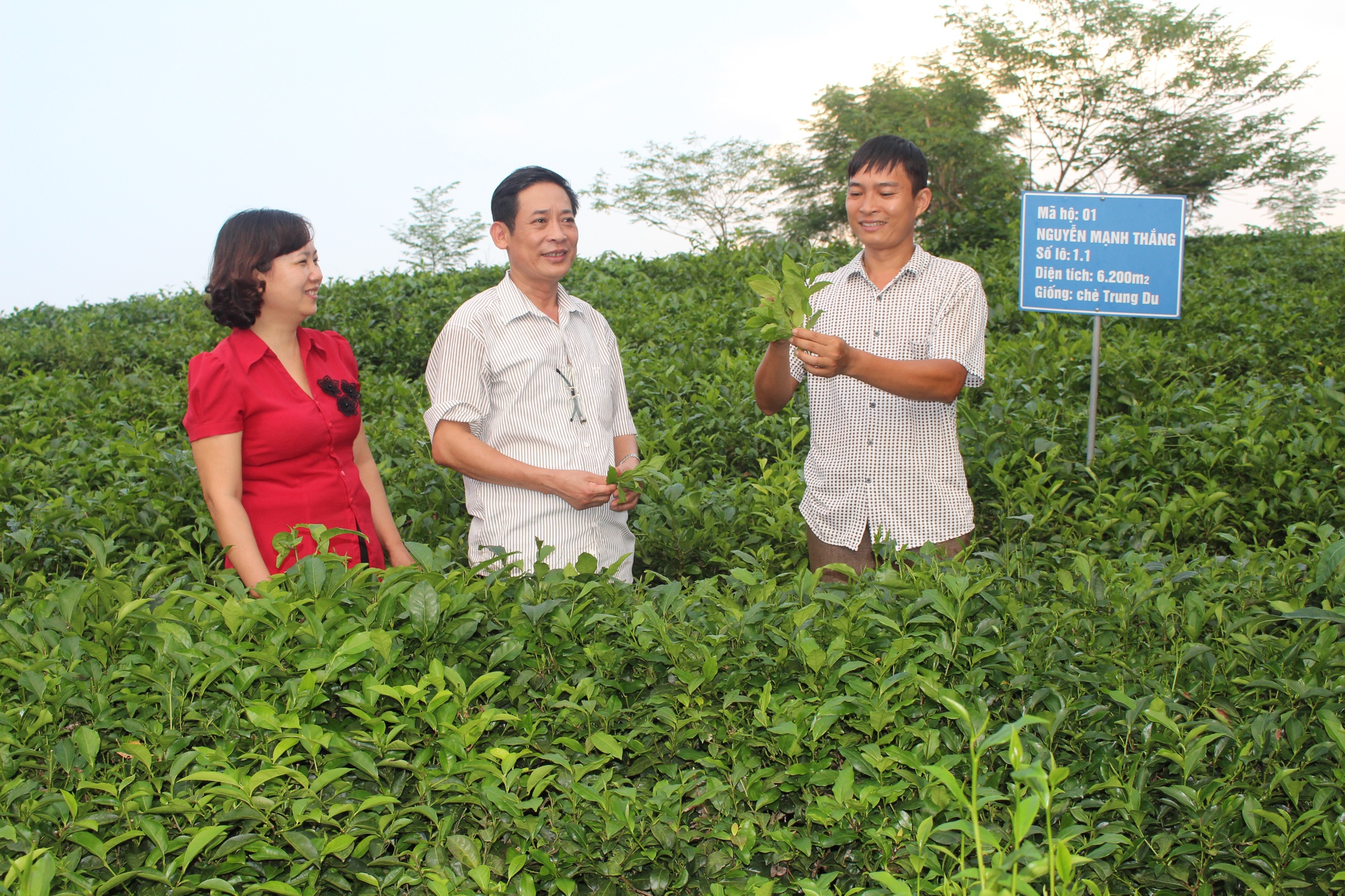 Nông thôn mới Tuyên Quang, phát huy vai trò chủ thể của nông dân, hơn 35.000 mô hình thu nhập cao-2