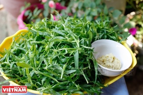 Thứ “rau đặc sản” lạ lùng của người Thái tại vùng đất này của Sơn La hóa ra là một loài cỏ dại mọc hoang-7