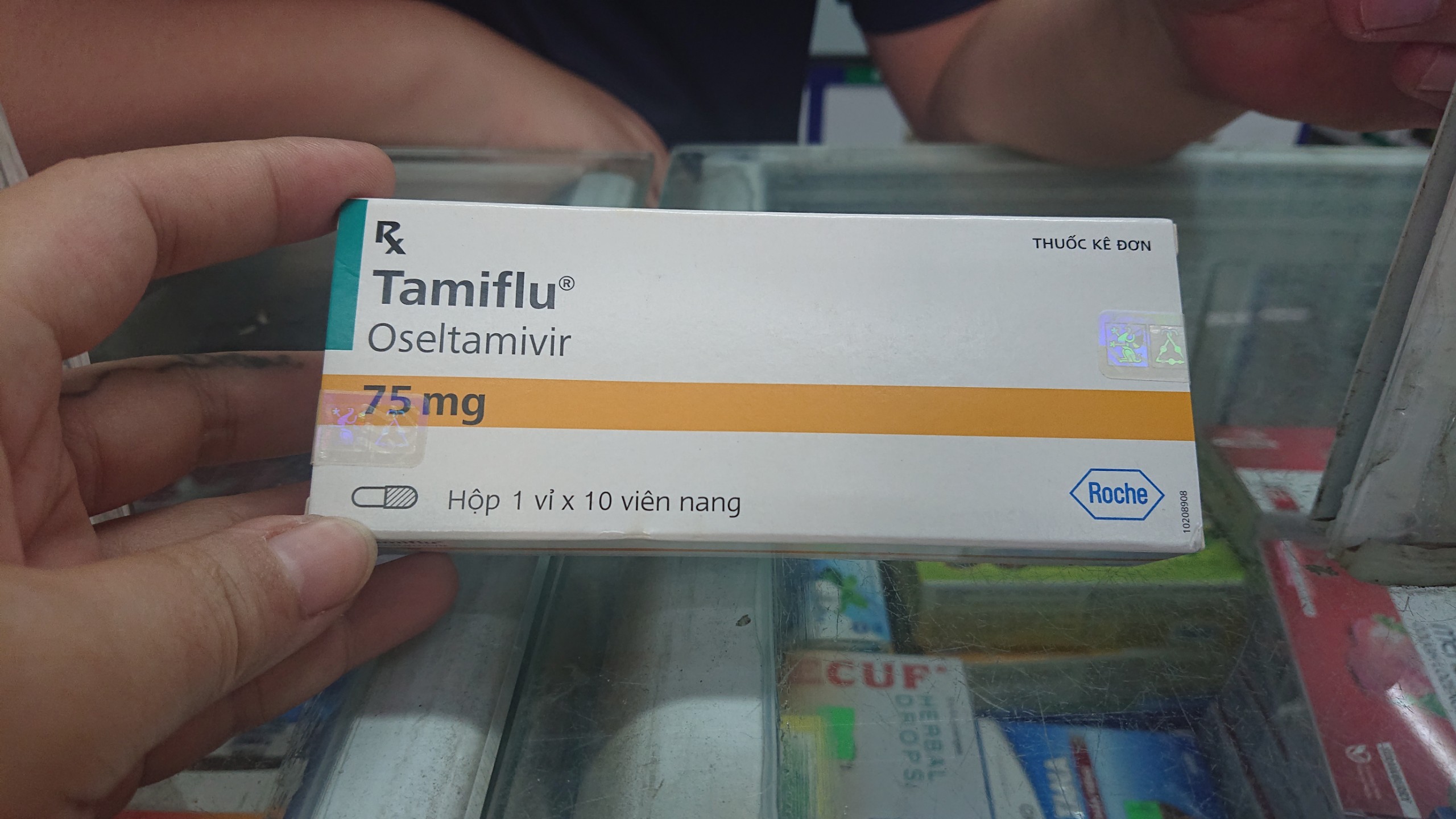 Ca bệnh cúm A gia tăng, 'loạn giá' thuốc Tamiflu-1