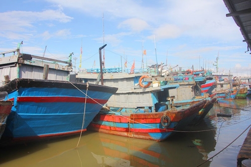 Phó Bí thư Tỉnh ủy, Phó Chủ tịch UBND tỉnh Hoàng Nghĩa Hiếu kiểm tra việc chống khai thác IUU tại một số cảng cá-3