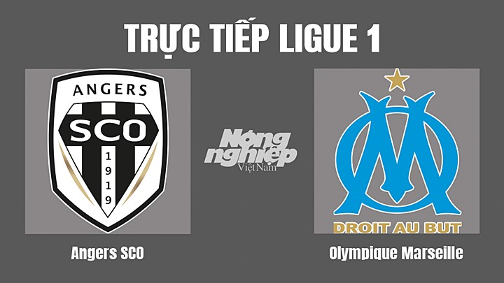 Trực tiếp Angers SCO vs Marseille trên kênh On Sports+ hôm nay 1/10-1