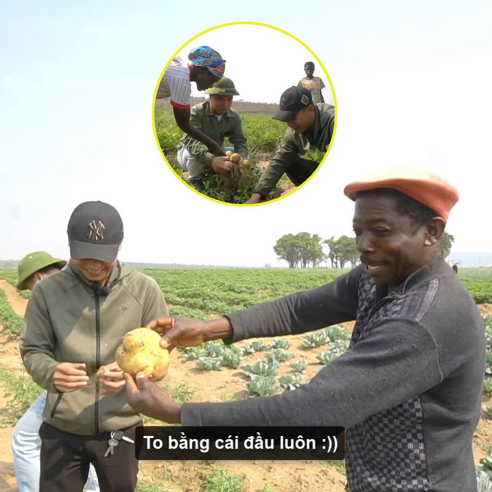 Cận cảnh nông trại xanh mướt rau củ của Quang Linh Vlog-2