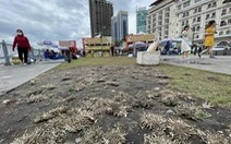 Hậu lễ hội 'Không gian văn hóa ẩm thực', thảm cỏ công viên bến Bạch Đằng tan hoang-img