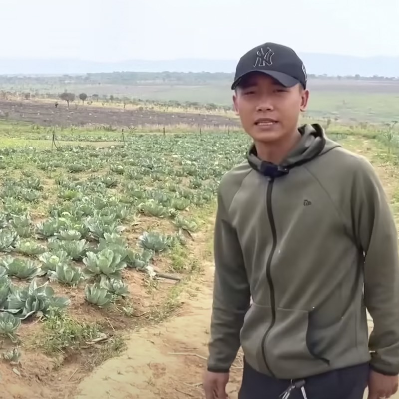 Cận cảnh nông trại xanh mướt rau củ của Quang Linh Vlog-10